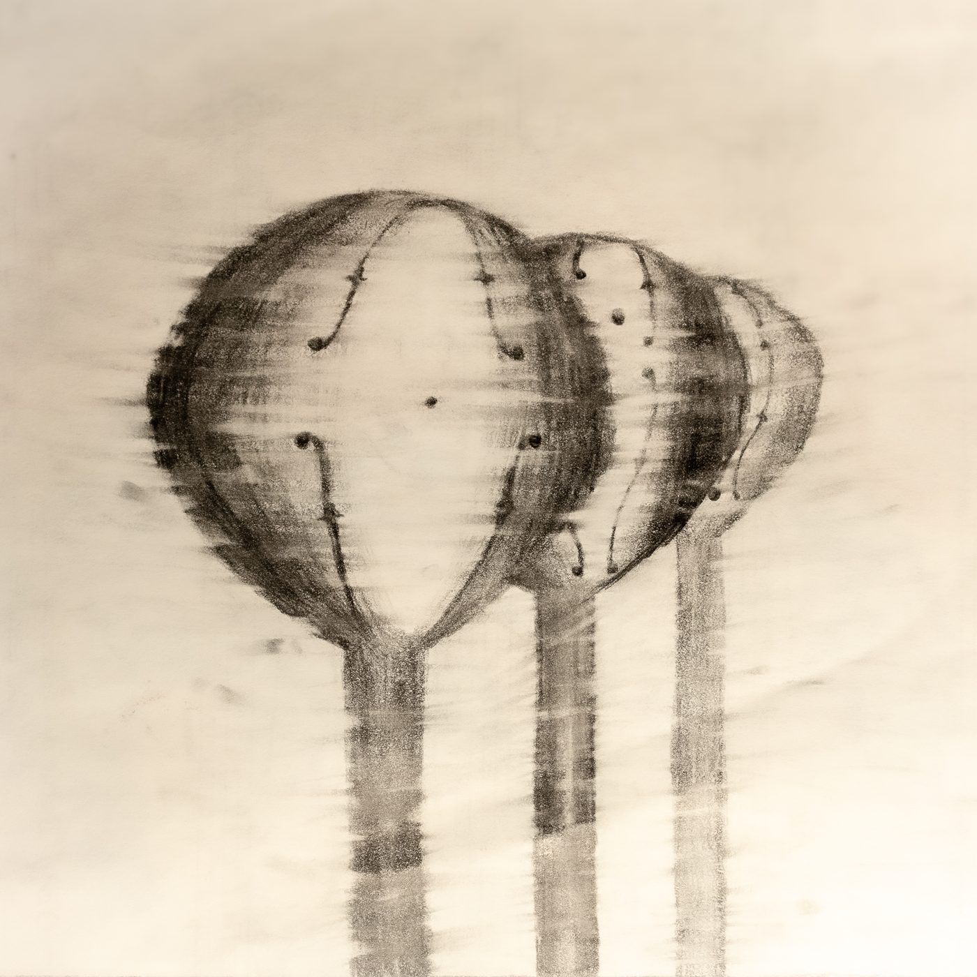 Have You Seen Across The Bridge? — cover art: charcoal drawing of three rounded towers